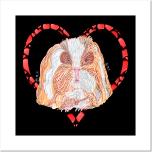 TEXEL GUINEA PIG HEART Posters and Art